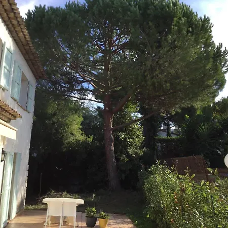 Bed & Breakfast Alessia 4*