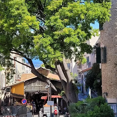 Alessia 4* أنتيب