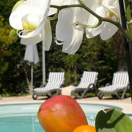 Bed & Breakfast Alessia Antibes