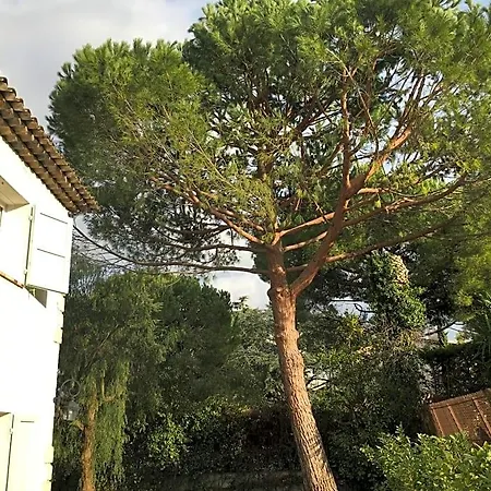 Alessia Oda ve Kahvaltı Antibes
